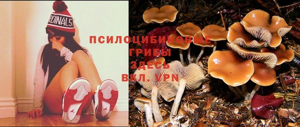 мескалин Армянск
